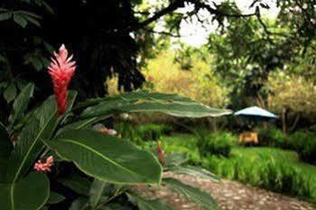 Comala Casa Comalli & Spa מראה חיצוני תמונה